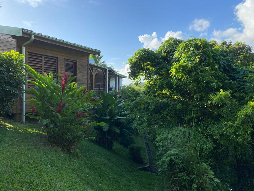 Deux Bungalows Dans Le Vent